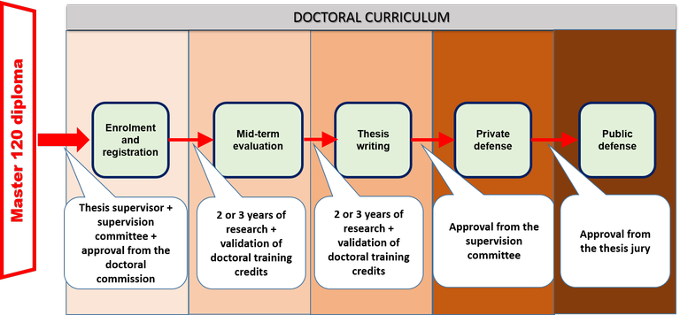 Doctoral curriculum