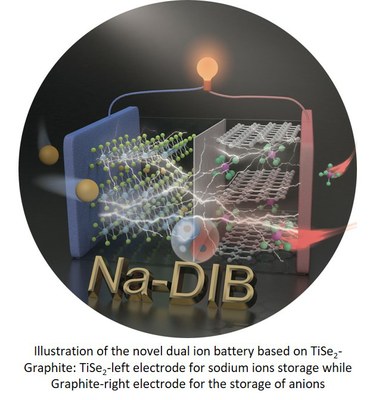 Na-DIB battery illustration