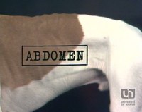 Anatomie du chien - l'abdomen