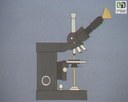 Schéma du microscope optique