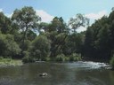 La rivière : milieu vivant