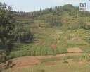 20010210-amenagement-des marais-au-rwanda-04