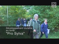 Développement durable en forêt : "Pro Sylva"
