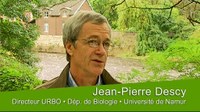 Directeur de l'Unité de Recherche en Biologie des Organismes, Département de Biologie, Université de Namur