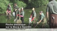 Pêche électrique sur le Bocq à Spontin