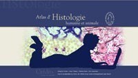 Atlas d'histologie humaine et animale