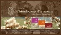 Atlas d'histologie et d'anatomie des plantes vasculaires