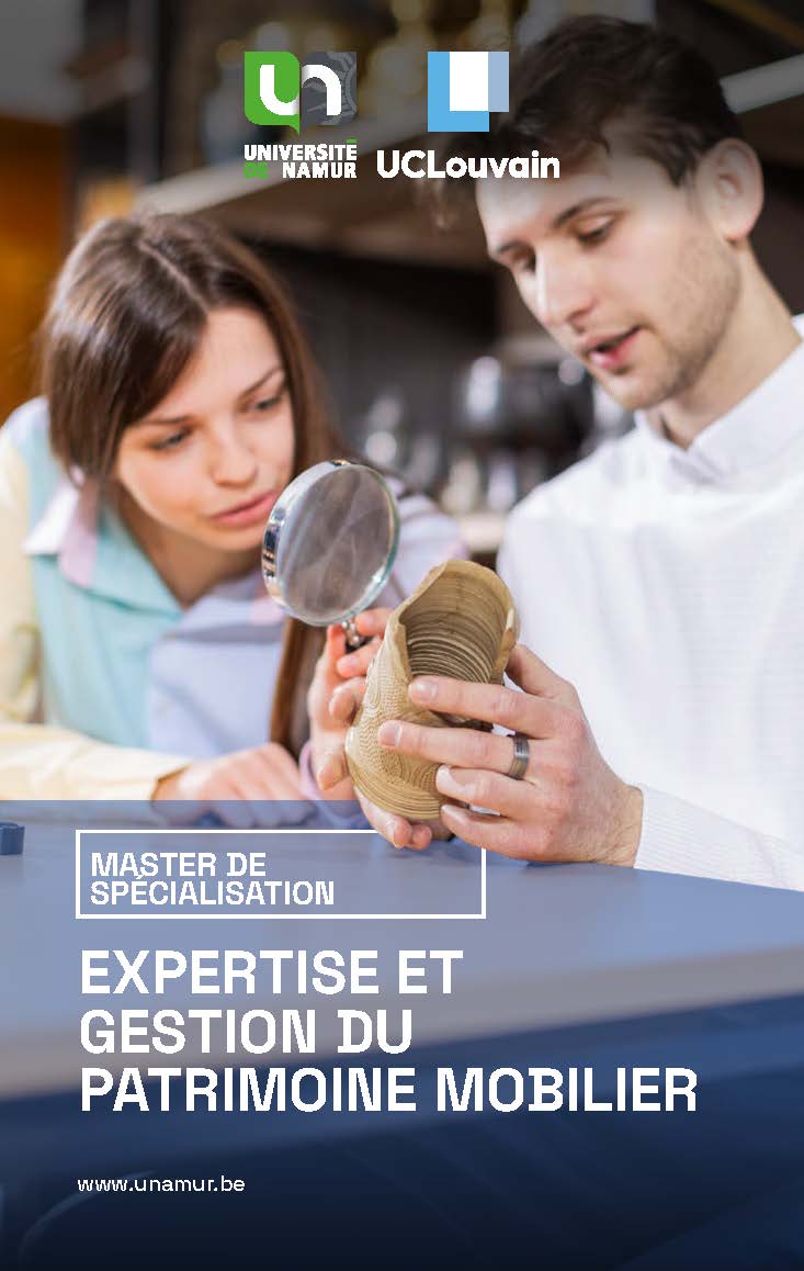 Brochure master de spécialisation en expertise et gestion du patrimoine mobilier