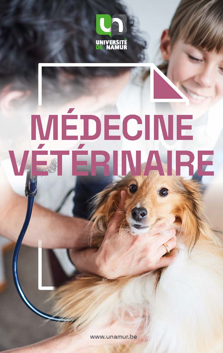 Brochure bachelier en médecine vétérinaire