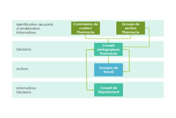 Organigramme du Département de pharmacie