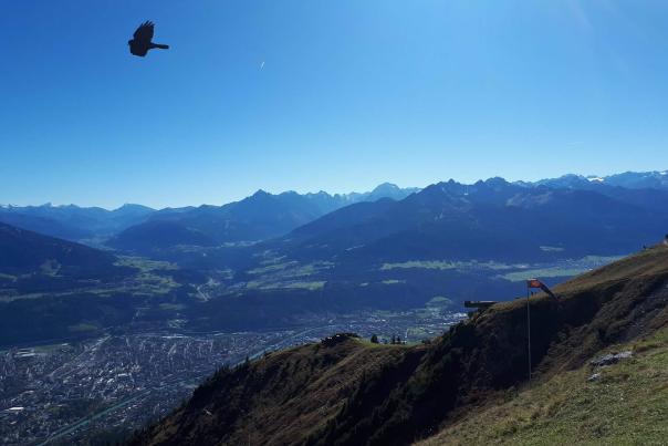 Paysage