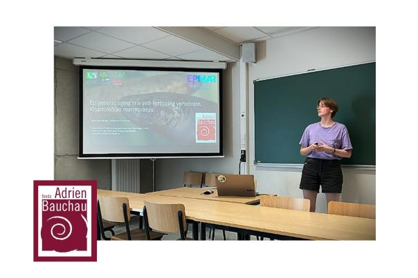 Justine Bélik, Séminaire ILEE (juin 2025)