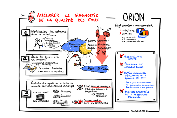 Facilitation visuelle reprenant les objectifs du projet Interreg ORION