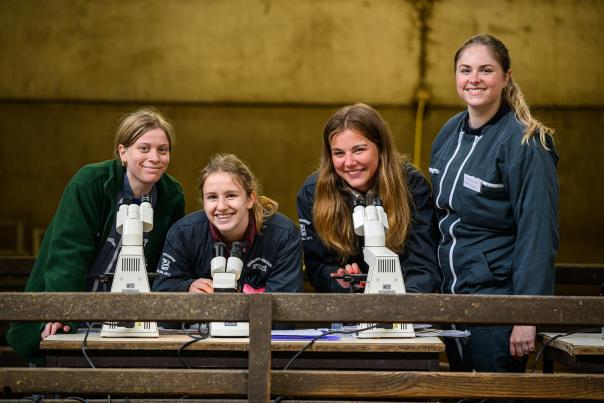 Etudiantes en médecine vétérinaire au Centre de Recherche Ovine(CRO) de l'UNamur - Domaine d'Haugimont