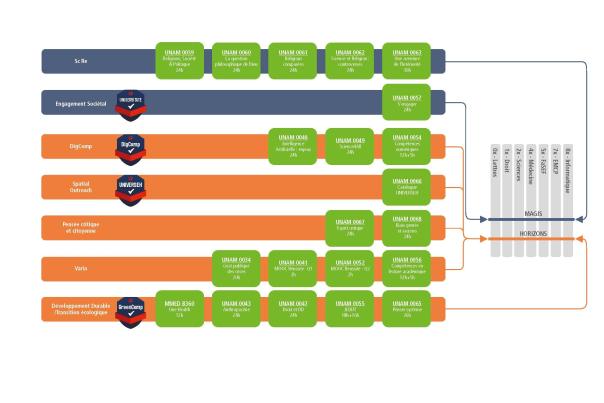 Tableau des unités d'enseignement transversales