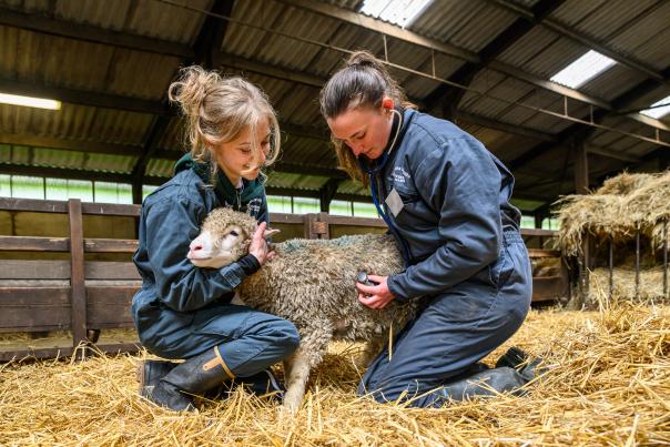 Haugimont - Centre de Recherche Ovine (CRO) - ferme pédagogique