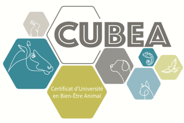 Certificat en bien-être animal (CUBEA)