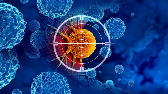 Cellule cancer prostate 