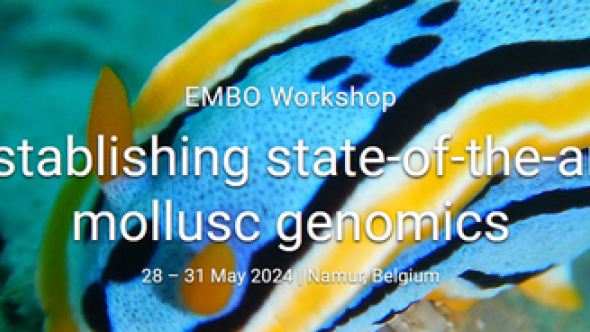 Affiche EMBO workshop