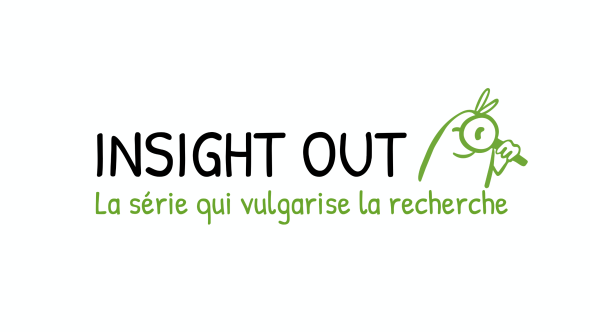 Insight Out