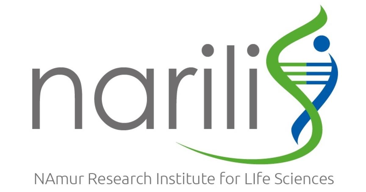 La recherche de NARILIS sur le vieillissement récompensée lors de deux  conférences scientifiques | UNamur
