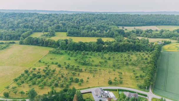 Haugimont - Verger (c) Thomas Meunier