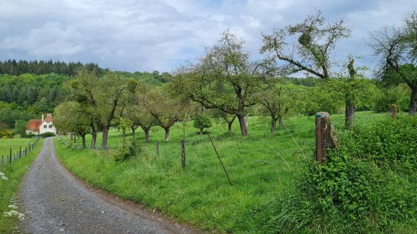 Domaine d'Haugimont