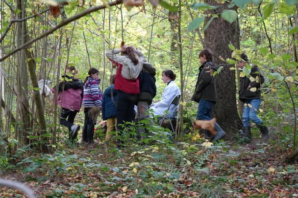 Activités à la Maraude d'Haugimont