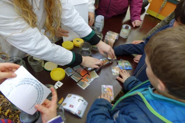 Activités à la Maraude d'Haugimont