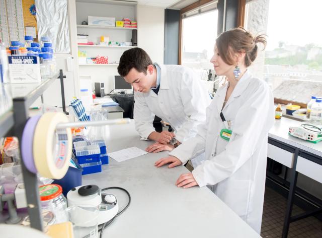 Sciences études 