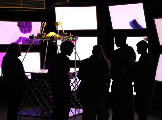Visiteurs de l'exposition Stellar Scape