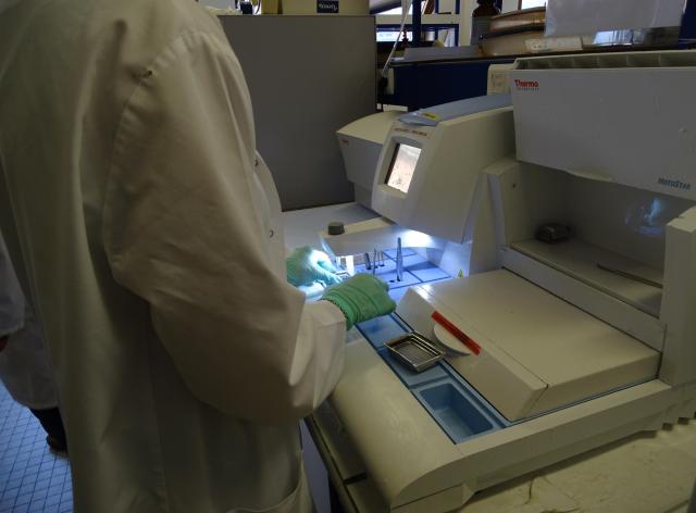 Analyse au microscope