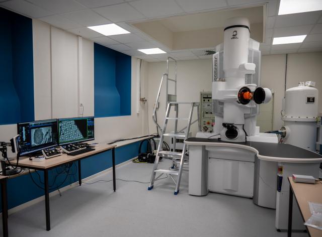 Plateforme de microscopie électronique