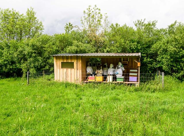 Haugimont - Centre de Recherche Ovine( CRO) - ruchers