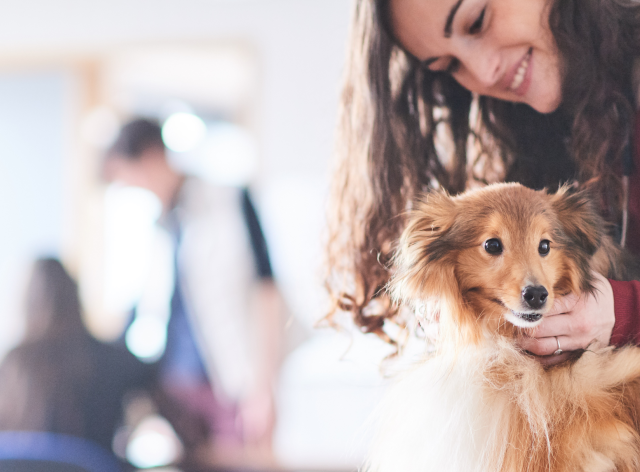 Un chien maintenu délicatement par une personne souriante