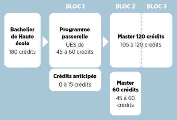 Gestion études