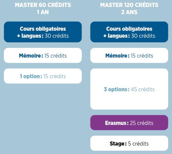 Gestion études