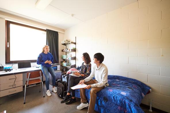 Logements kots universitaires