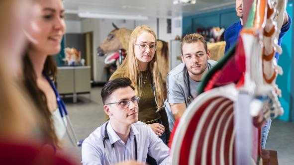 Bachelier en médecine vétérinaire