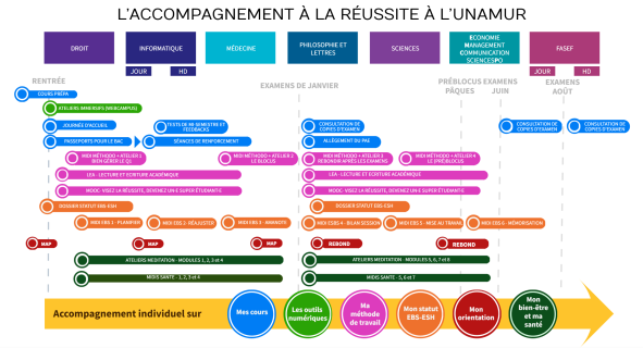 Schéma des aides à la réussite à l'UNamur