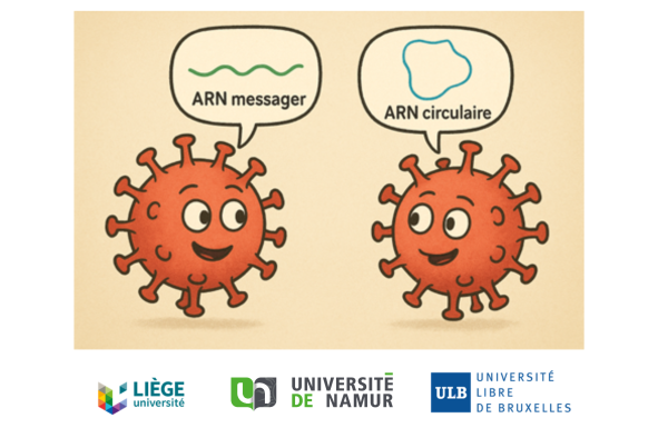 ARN