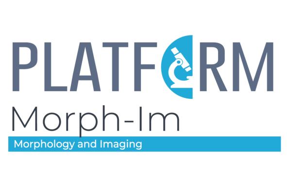 Logo plateforme Morph-Im