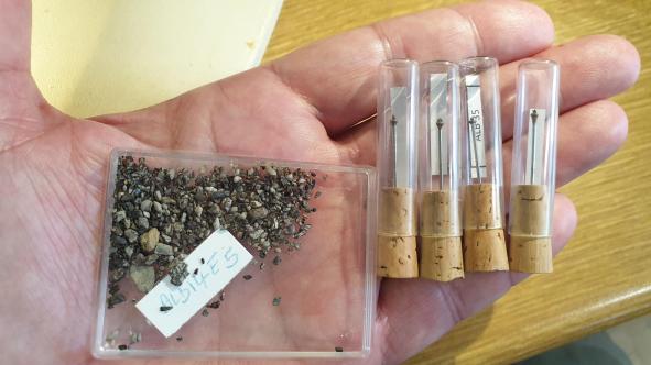 Echantillons de fossiles prélevés en cours de fouilles, Albas, France