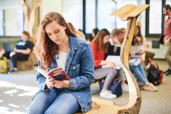 Bachelier en langues et lettres françaises et romanes