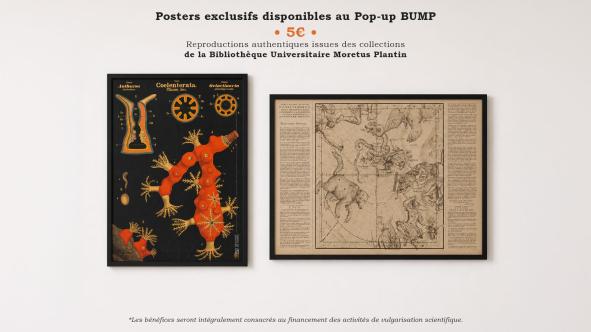 Vente de posters BUMP