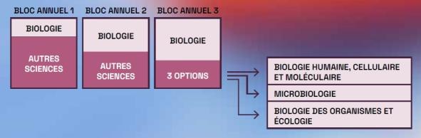 Le bachelier en sciences biologiques