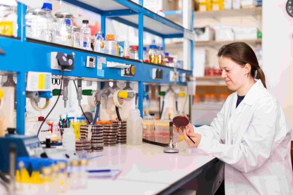 Master in molecular microbiology