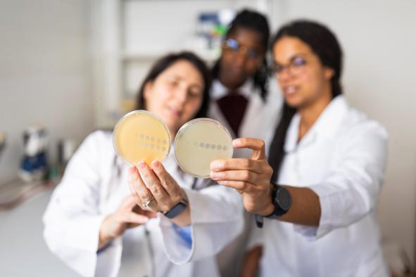 Master in molecular microbiology