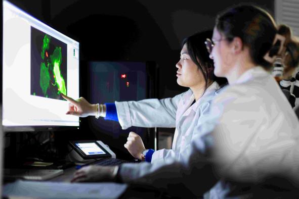 Master in molecular microbiology