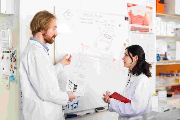 Le bachelier en sciences biologiques